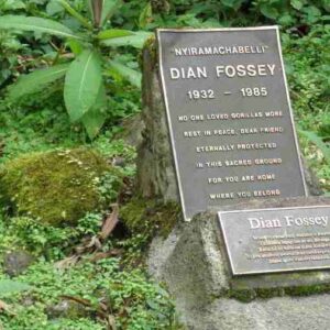 Fossey-Tombstone 2