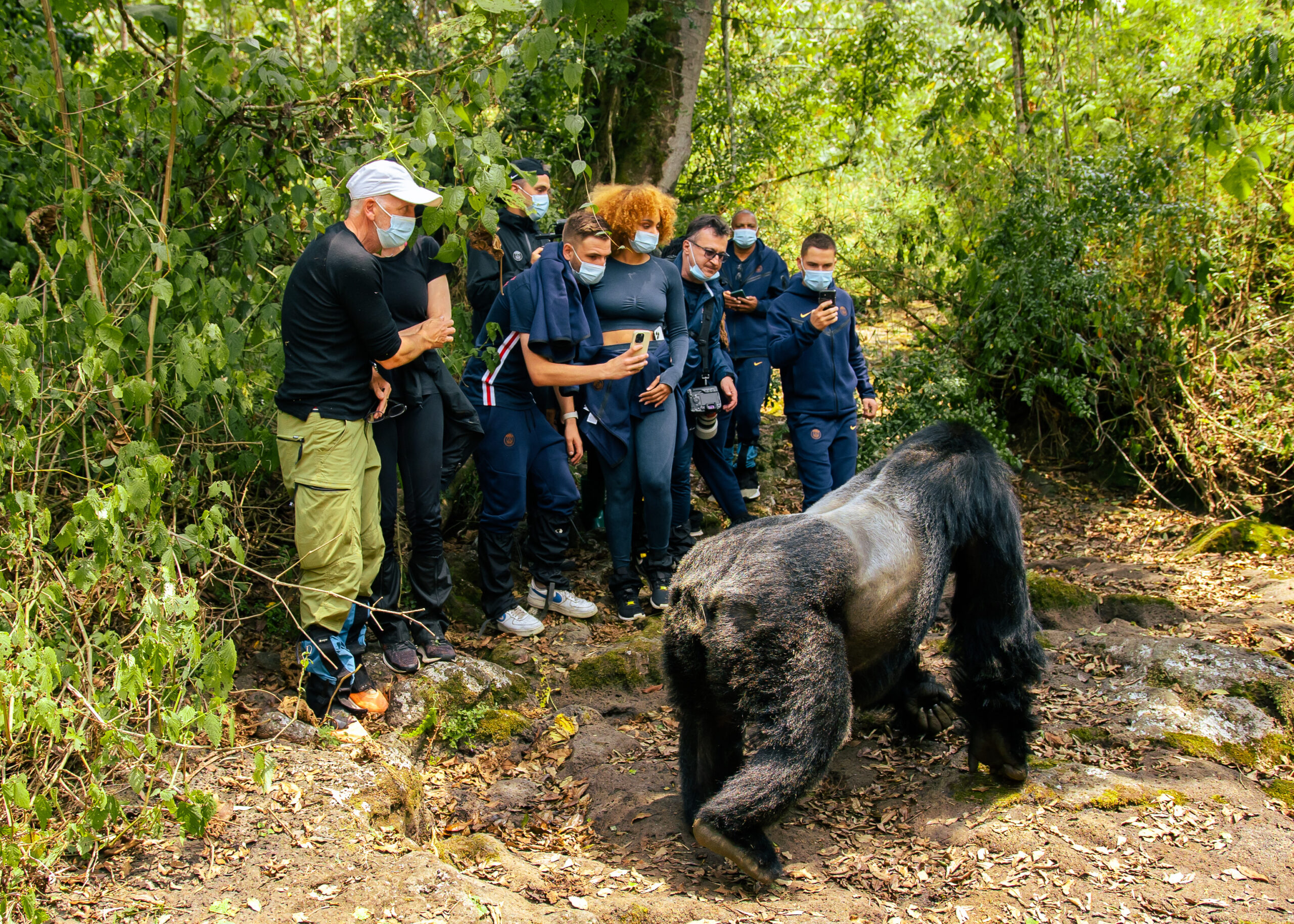 Rwanda Gorilla Trekking Experience