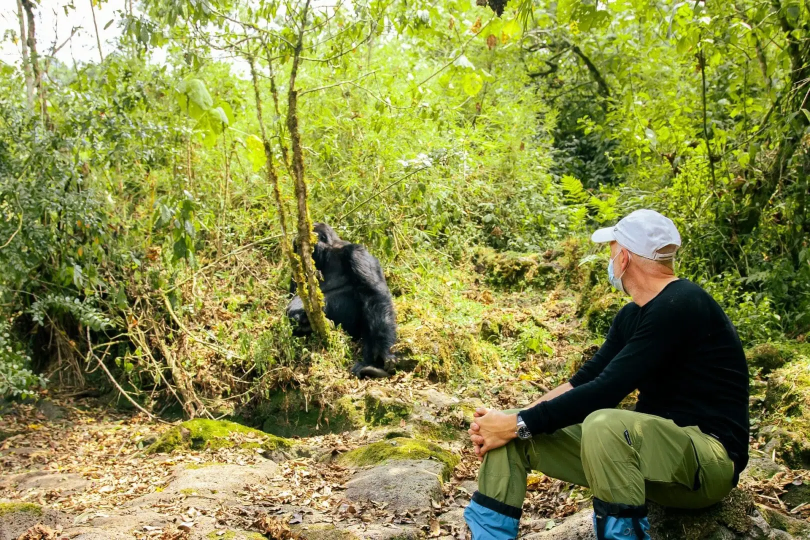 Gorilla Trekking Experience